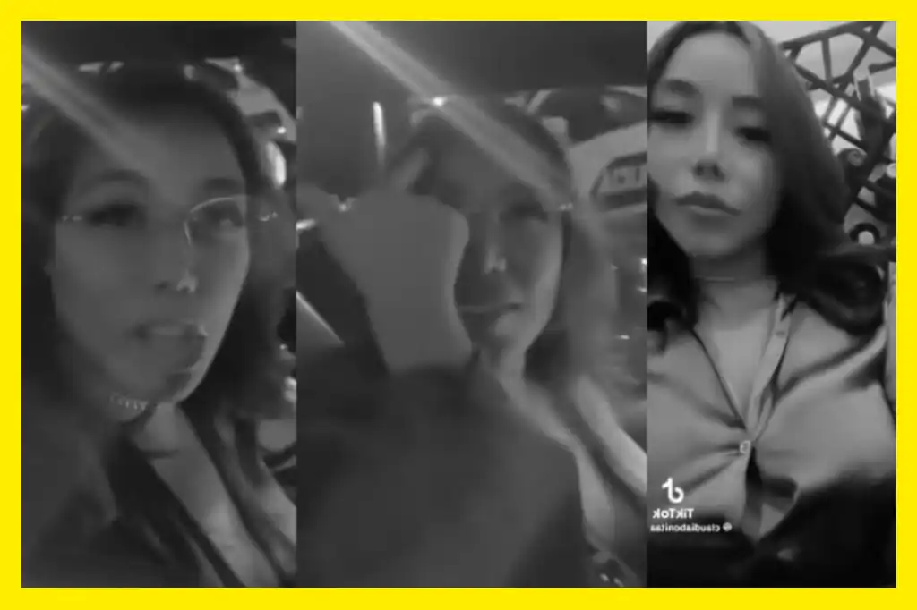 Una mujer de 28 años de edad fue detenida y remitida ante un juez cívico tras ser sorprendida conduciendo en sentido contrario en la alcaldía Miguel Hidalgo, de inmediato, la mujer comenzó a insultar y humillar a los policías y el video se hizo viral en redes sociales.