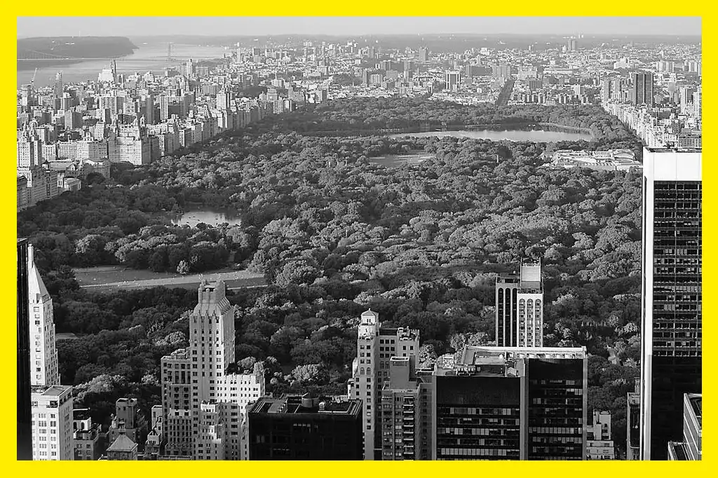Daniel Madariaga Barrilado, empresario mexicano y experto en turismo sostenible, arquitectura verde y movilidad sustentable explica que en un mundo cada vez más urbanizado, donde más del 50% de la población vive en ciudades y este porcentaje sigue en aumento, las zonas verdes se presentan como una herramienta fundamental para combatir los efectos del cambio climático.