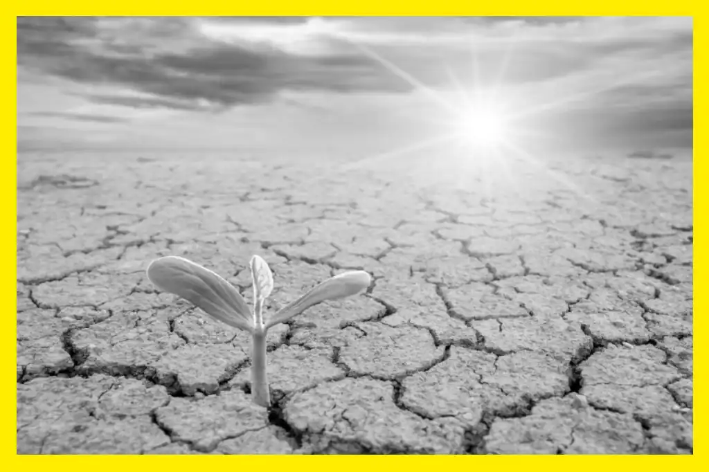 El empresario mexicano Daniel Madariaga Barrilado, especialista en turismo sostenible, edificios verdes y movilidad sustentable, destacó la urgencia de una acción climática coordinada para enfrentar los desafíos del cambio climático, tanto a nivel global como en México.