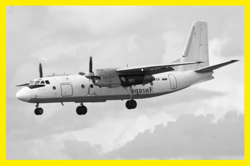 Las autoridades rusas confirmaron este jueves, el hallazgo de los restos en llamas del avión An-24 que desapareció de los radares mientras se aproximaba a la ciudad de Tynda, en la región de Amur, extremo oriente de Rusia.