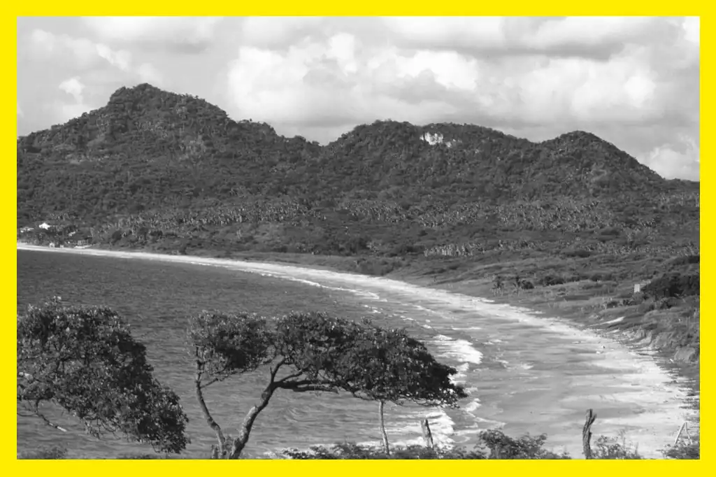 Riviera Nayarit, ejemplo de turismo sostenible en México: Daniel Madariaga Barrilado.