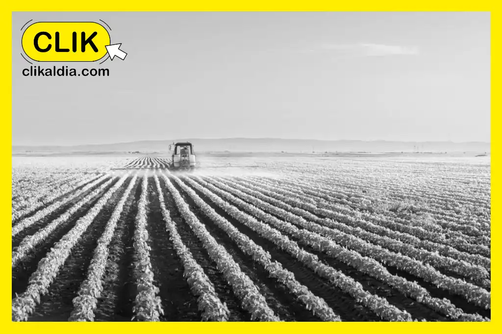 Agricultura regenerativa y modelos MABO, alternativas ante la crisis alimentaria