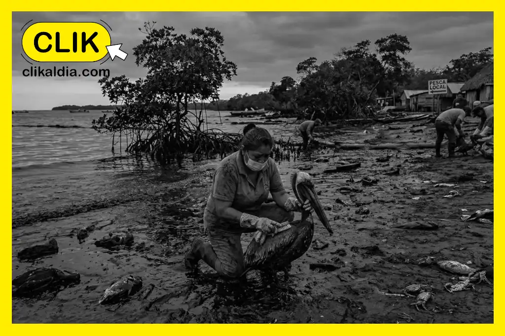 FGR abre investigación por derrame de petróleo en el Golfo de México