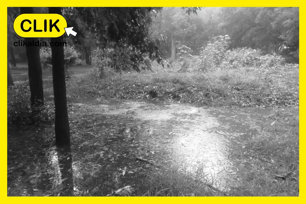 Viveros de Coyoacán cierra por inundaciones tras fuertes lluvias