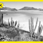 Daniel Madariaga Barrilado resalta el crecimiento sostenible de La Paz