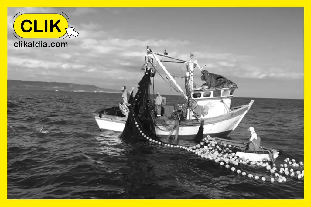Daniel Madariaga Barrilado destaca el impulso de la pesca sustentable para transformar Baja California
