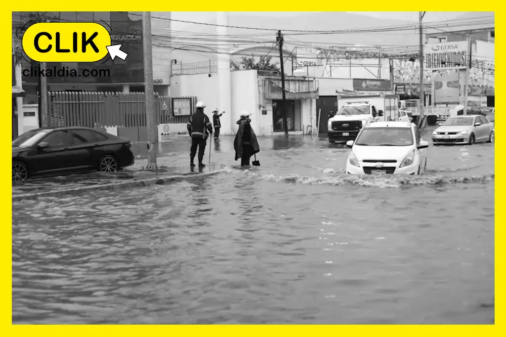 Tormenta tropical ‘Polo’ se intensifica en el Pacífico